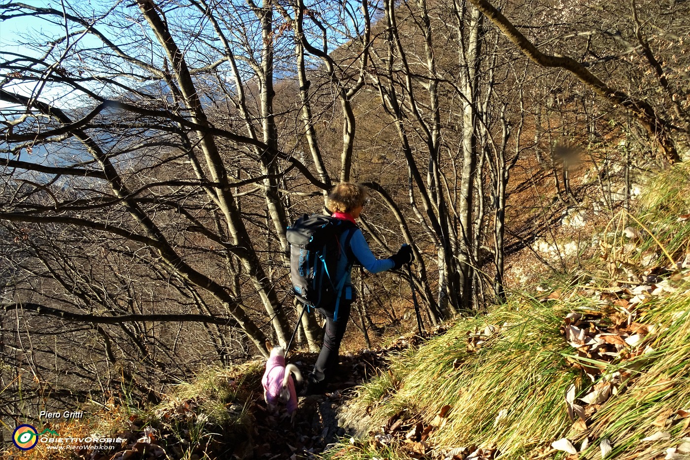 88 Sul sent. 223 rientriamo. nel bosco.JPG
